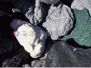 膠頭機頭料撕碎