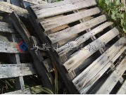 木材木托盤撕碎